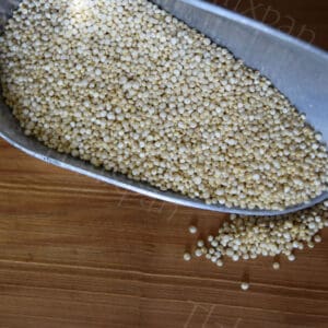 quinoa orgánica